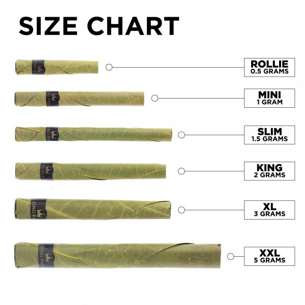 Cannabis blunt size chart displaying six different sizes—Rollie (0.5g), Mini (1g), Slim (1.5g), King (2g), XL (3g), and XXL (5g)—with corresponding images of each rolled blunt.",