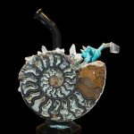 Hand-blown glass rig shaped like an ammonite fossil, featuring turquoise accents and a quartz bucket.