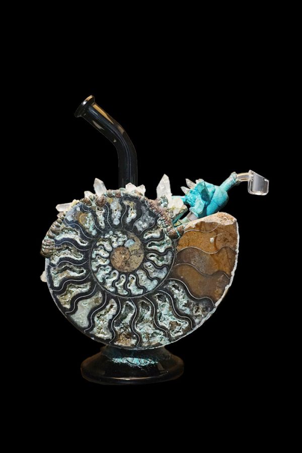 Hand-blown glass rig shaped like an ammonite fossil, featuring turquoise accents and a quartz bucket.