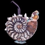 Intricate glass sculpture of an ammonite fossil, repurposed as a cannabis water pipe with a dark stem and crystal-like embellishments.