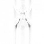 [WHITE][TRANSPARENT]