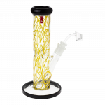 [WHITE][TRANSPARENT]