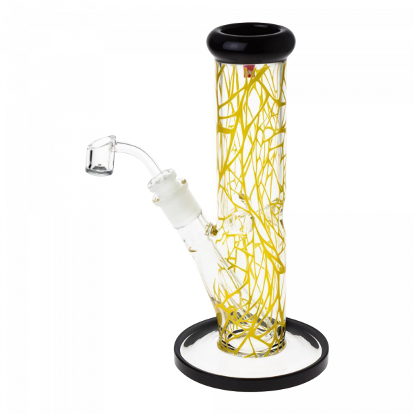 [WHITE][TRANSPARENT]