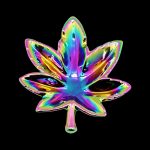 A vibrant, top-down view of the Hemp Leaf Rainbow Iridescent Ashtray, showcasing its colorful, reflective surface.