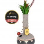 Front view of the My Bud Vase Coyōté water pipe, displaying a textured gray base and red feather accent.