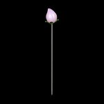 Pink glass cannabis oil burner tip on a thin metal stem against a black background.