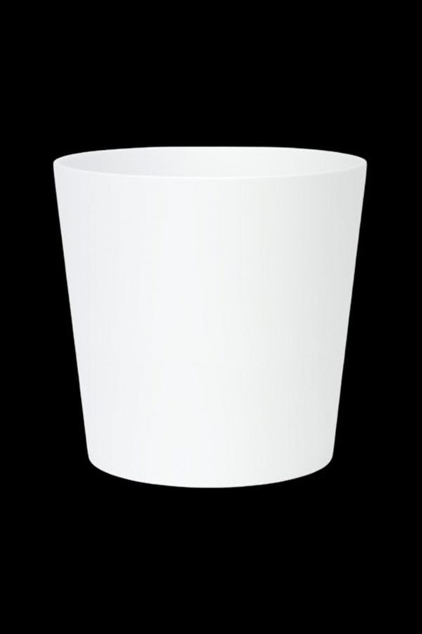 White cannabis container.